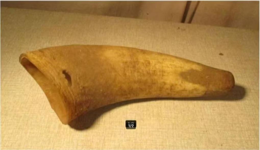 Mooie Antieke Hoorn - 25cm, Ophalen of Verzenden, Zo goed als nieuw, Overige typen
