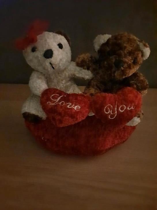2 knuffelberen, in perfecte staat, valentijn, Kinderen en Baby's, Speelgoed | Knuffels en Pluche, Ophalen of Verzenden, Zo goed als nieuw