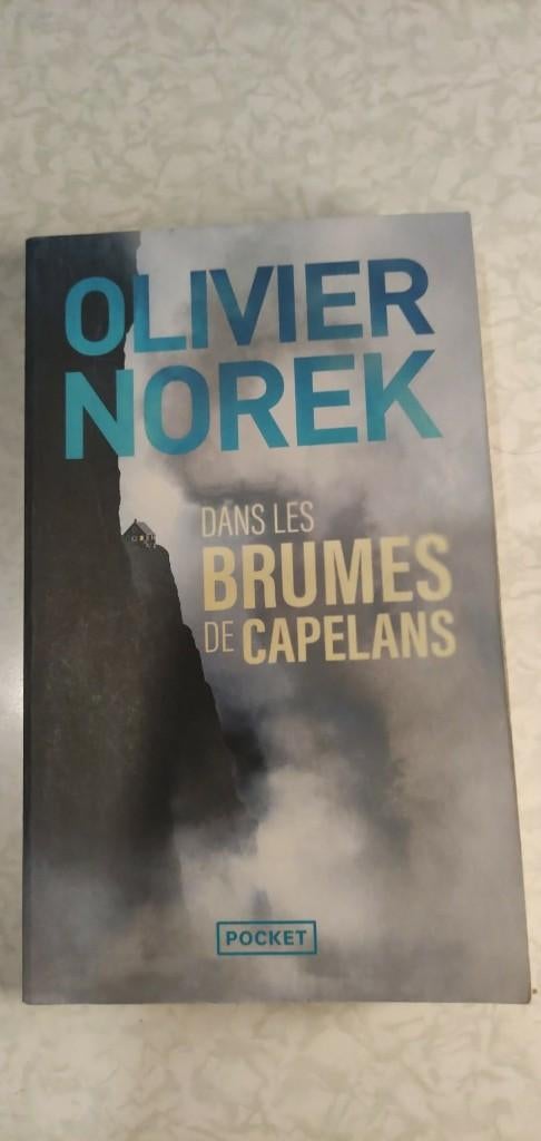 Olivier Norek - Dans les brumes de Capelans, Livres, Enlèvement, Utilisé