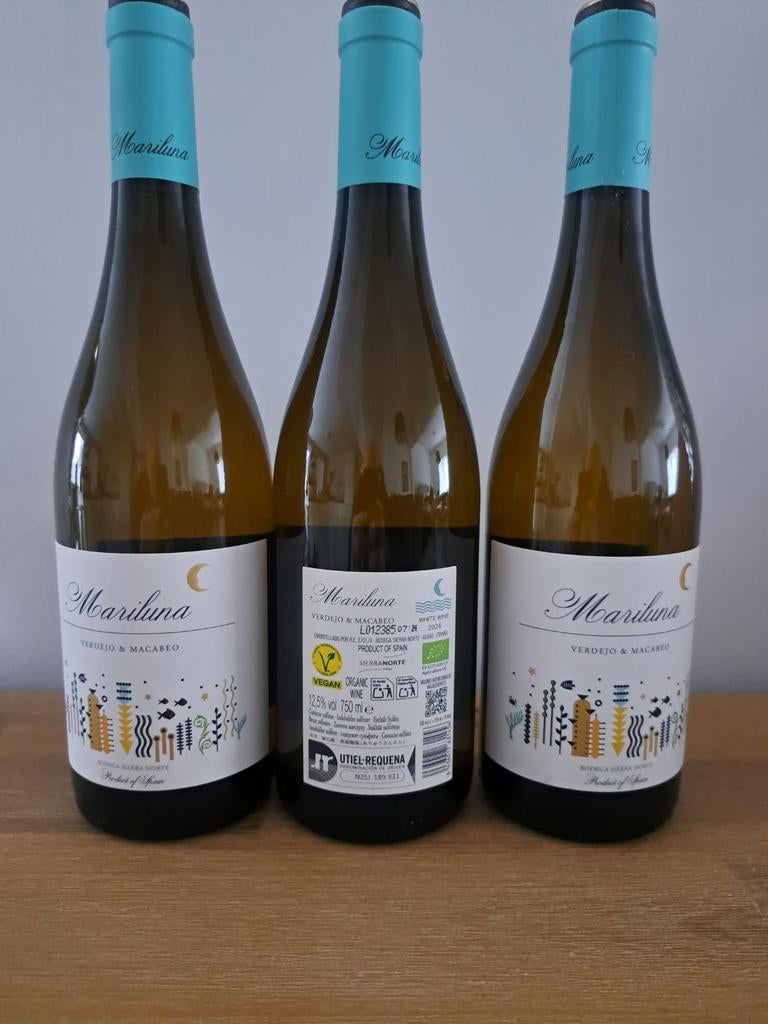 Witte en rode wijn + 1 fles De Muller Rojo Vermouth De Reus, Collections, Enlèvement, Vin rouge