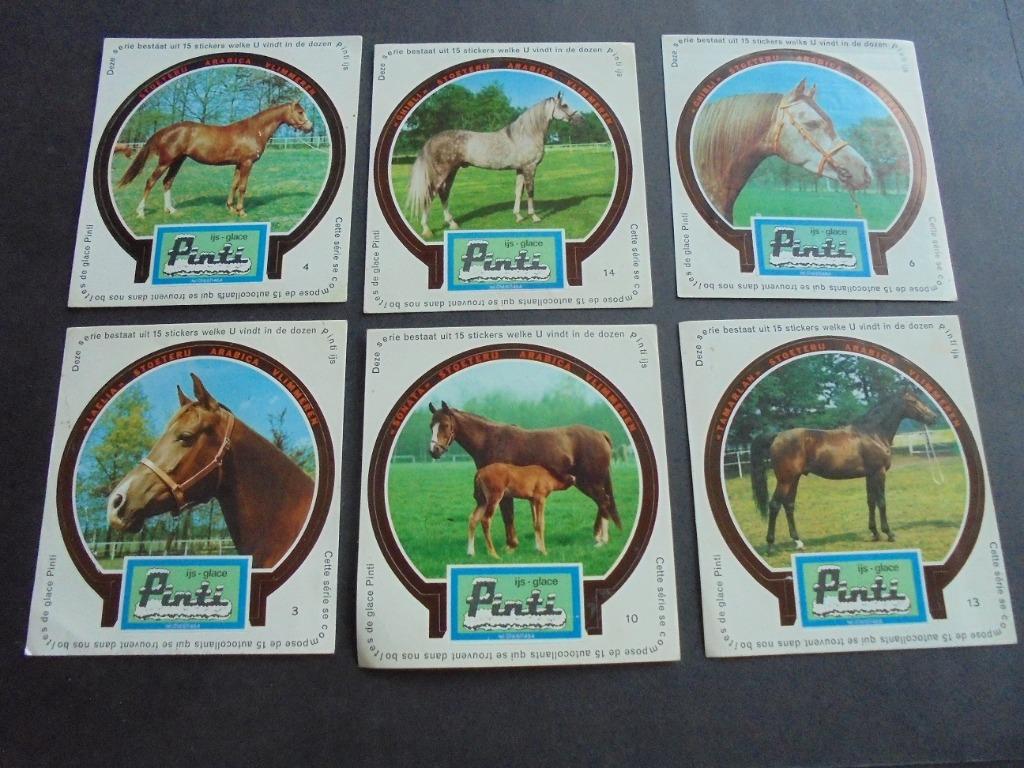 stickers pinti paarden, Verzamelen, Verzenden, Nieuw, Dier en Natuur