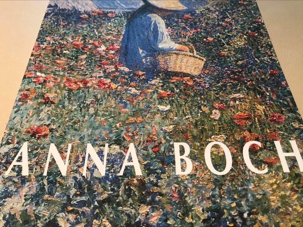Anna Boch peintures 180pag, Ophalen of Verzenden, Zo goed als nieuw, Schilder- en Tekenkunst