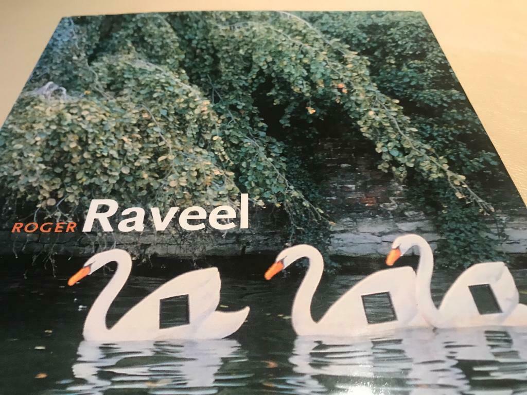 Roger Raveel schilderijen Tekeningen 210pag, Boeken, Ophalen of Verzenden, Zo goed als nieuw, Schilder- en Tekenkunst