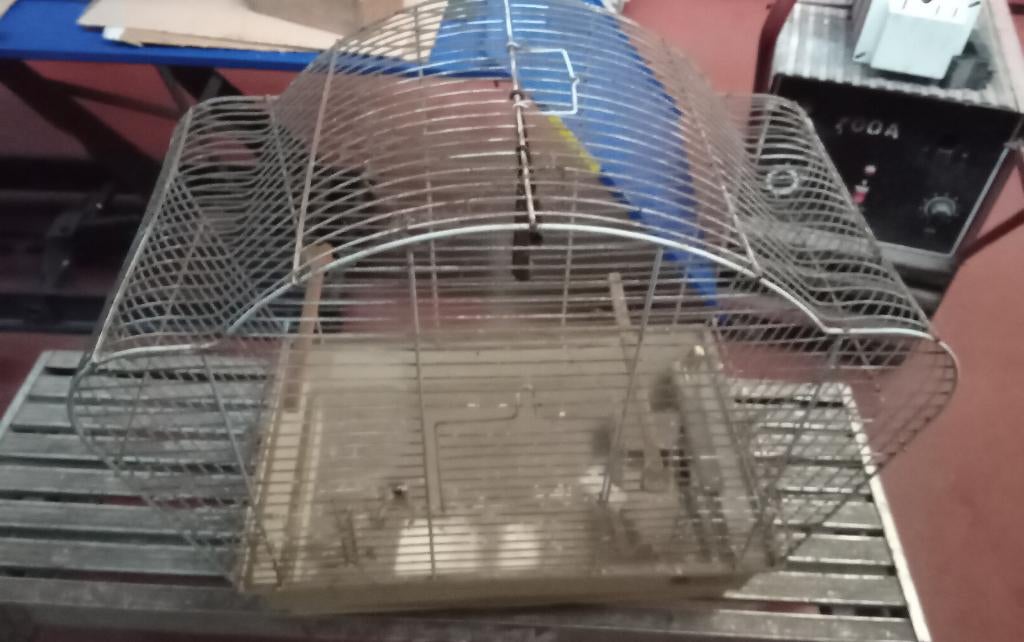 cage pour oiseau, Animaux & Accessoires, Enlèvement, Neuf, Aluminium