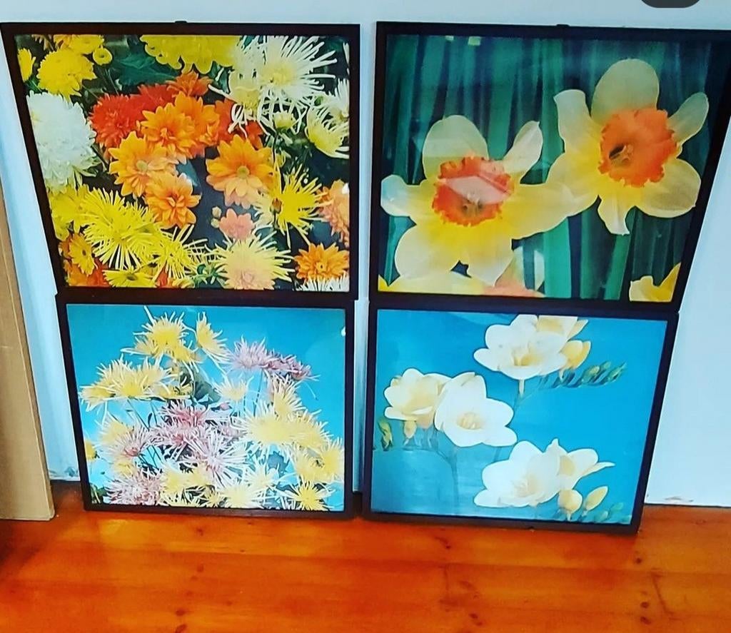 Prenten van bloemen achter glas, uit oude school, Boeken, Ophalen of Verzenden