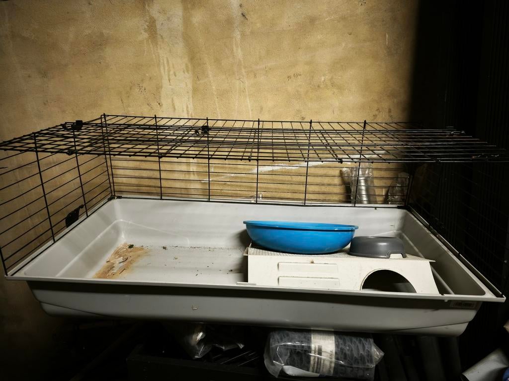 Cage a lapin, Cage, Lapin