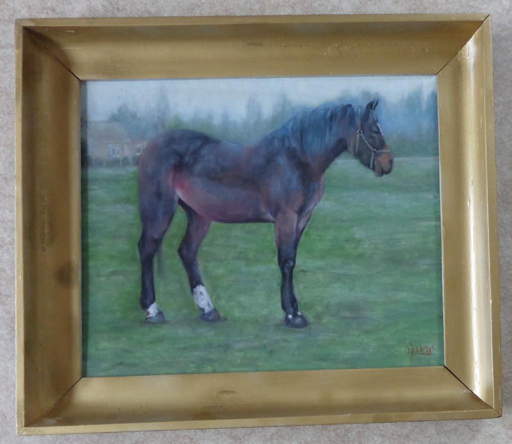 O. JOMO / PAARD IN DE WEIDE / OLIEVERF / 65x75x6cm / KADER, Enlèvement, Signé, Peinture à l'huile, Toile