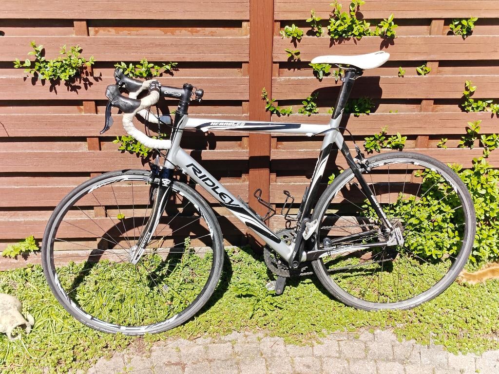 Racefiets Ridley, Enlèvement, Utilisé, 15 à 20 vitesses, Autres marques