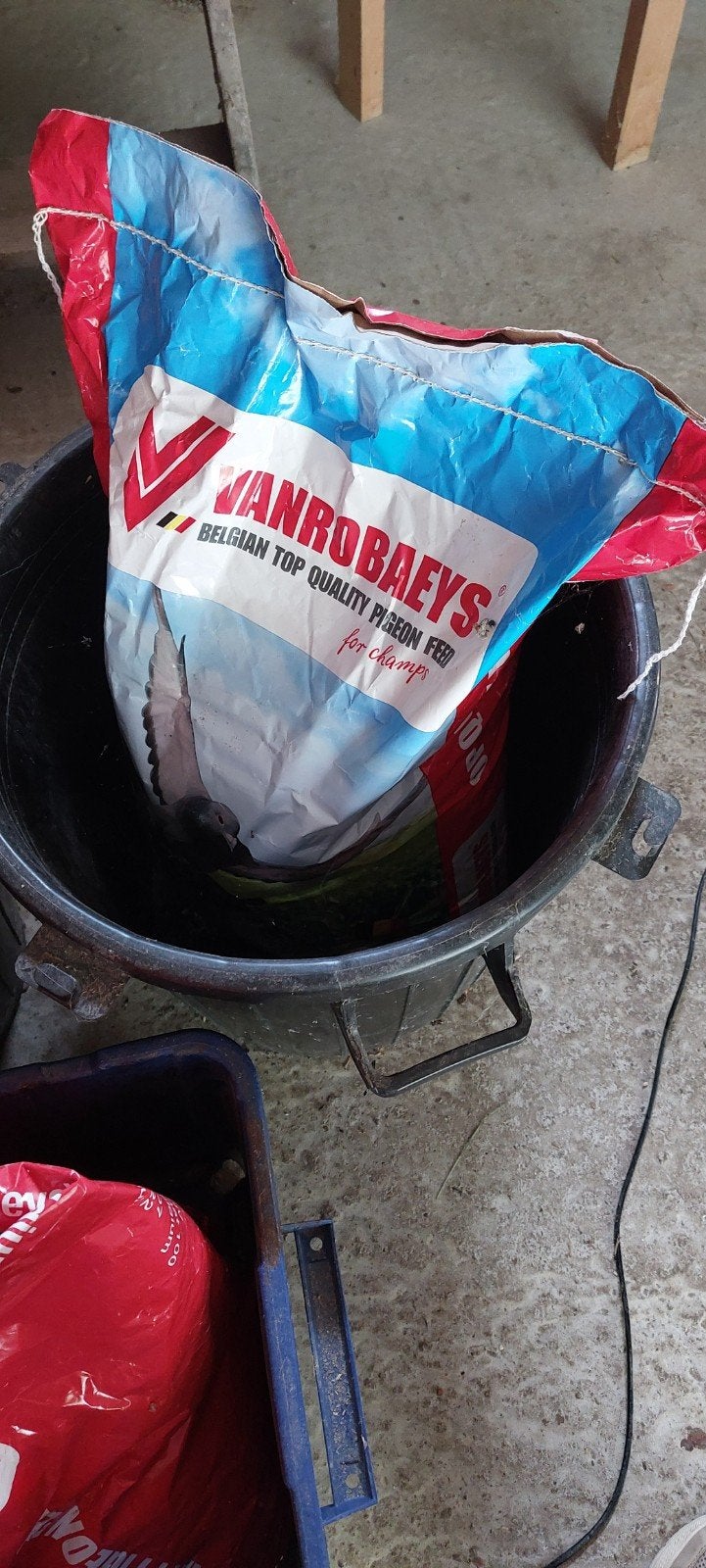 Duiveneten Van Robaeys ongeopend, Overige soorten