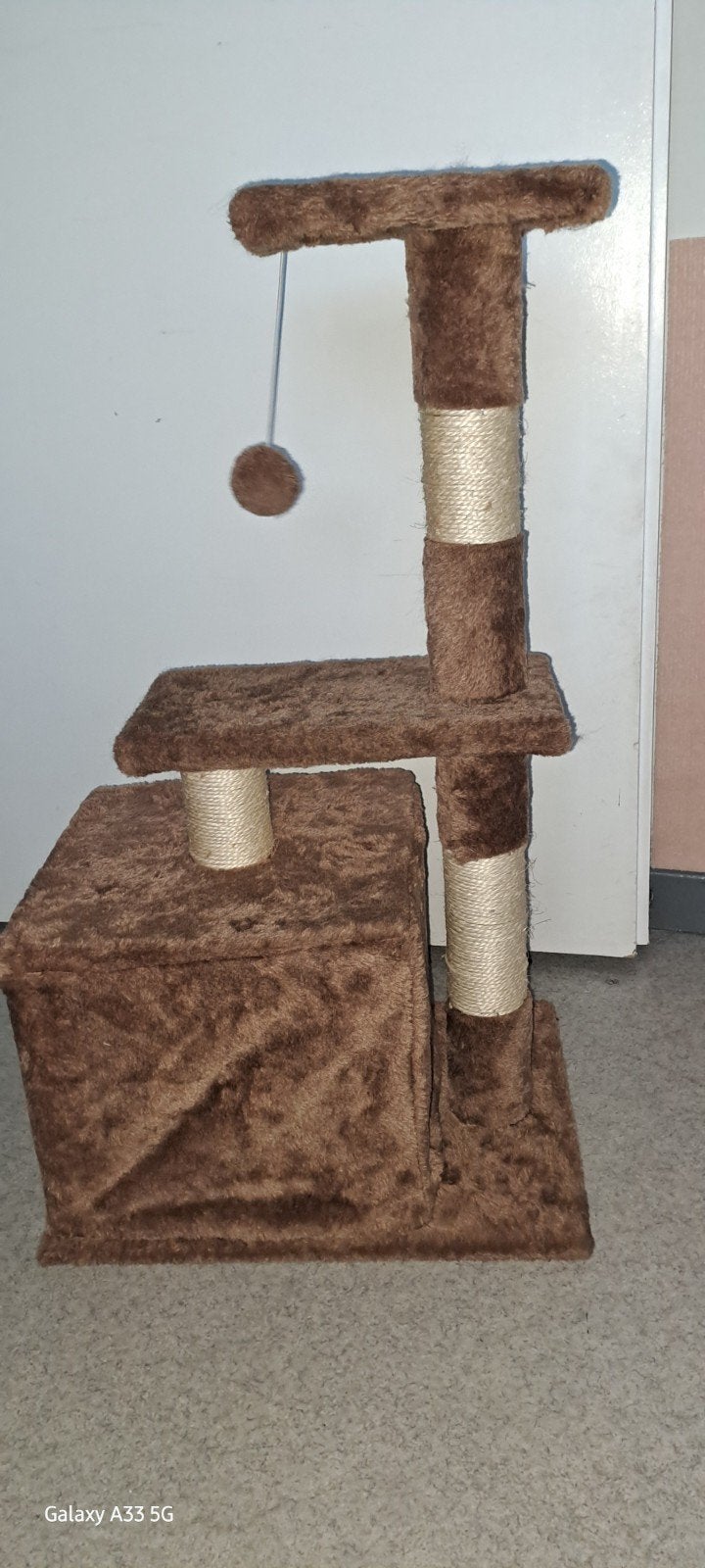 arbre a chat, Enlèvement