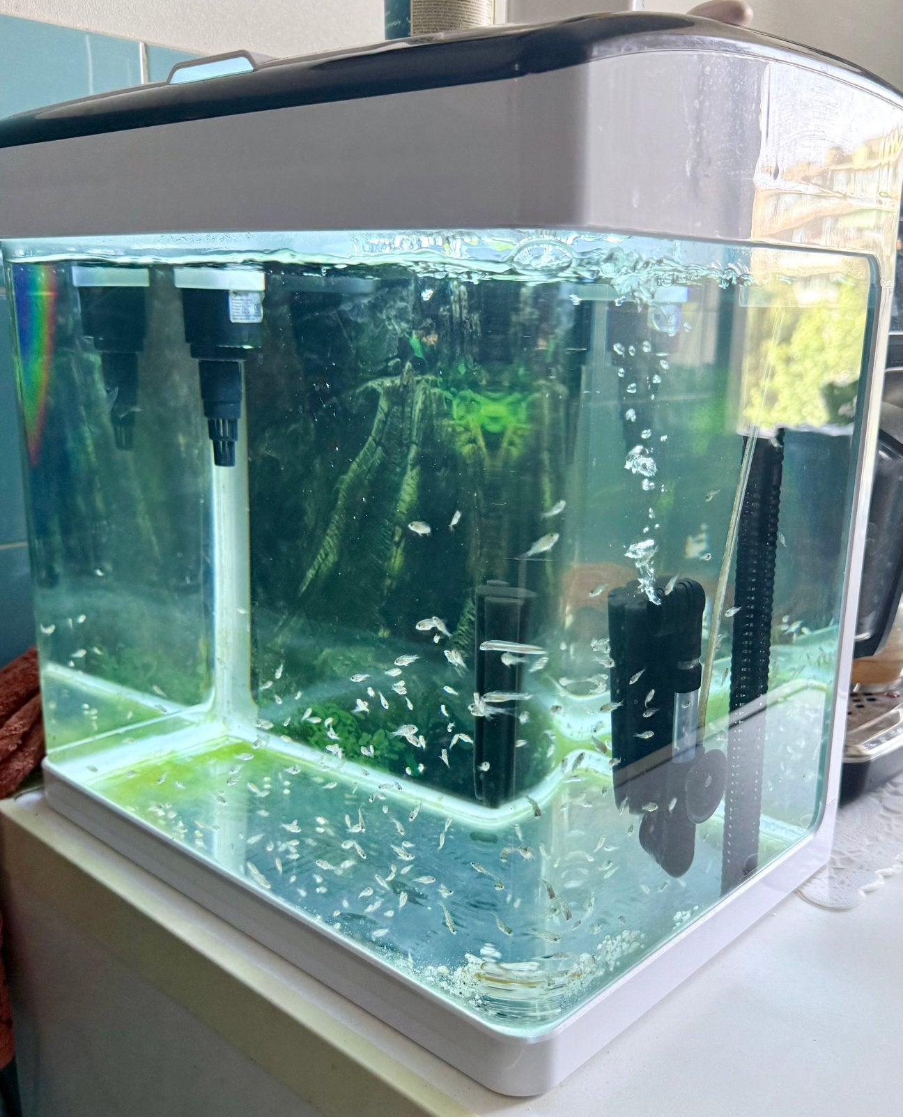 Aquarium35x40, Animaux & Accessoires, Enlèvement ou Envoi, Comme neuf