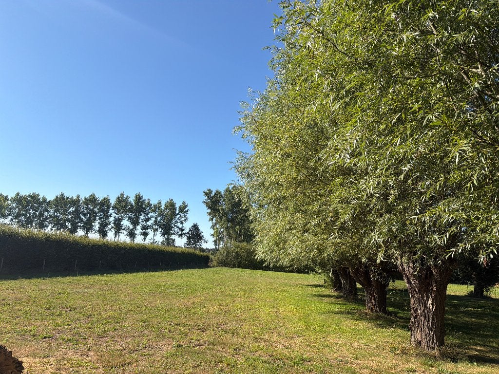 Weide te huur, Dieren en Toebehoren, Stalling