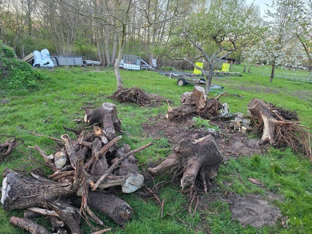 Gratis hout 1jaar oud, Tuin en Terras, Ophalen