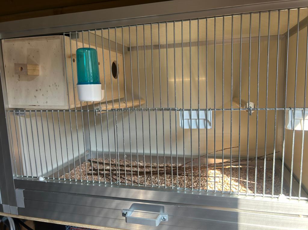 Kweekkooi, Dieren en Toebehoren, Vogels | Hokken en Kooien, Ophalen, Nieuw, Aluminium, Broedkooi of Kweekkooi