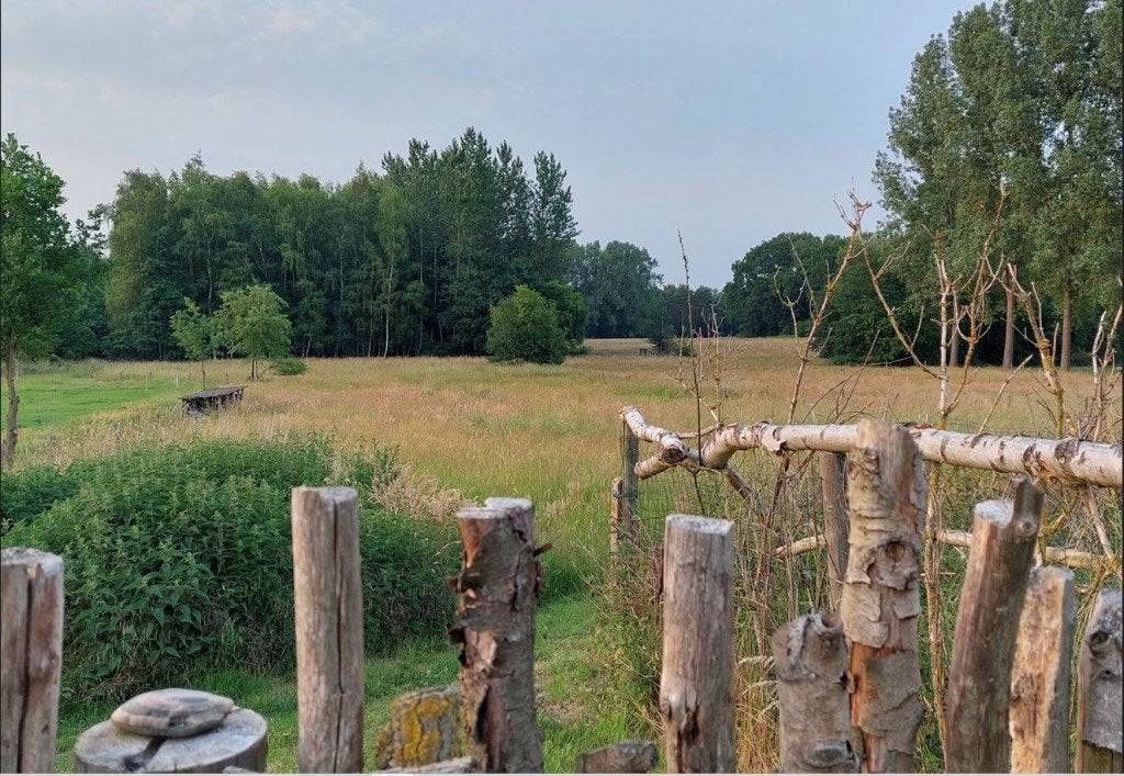 Landbouwgrond / weide  TE HUUR  - 16,95 are, Houthalen-Helchteren, Ventes sans courtier, 1500 m² ou plus