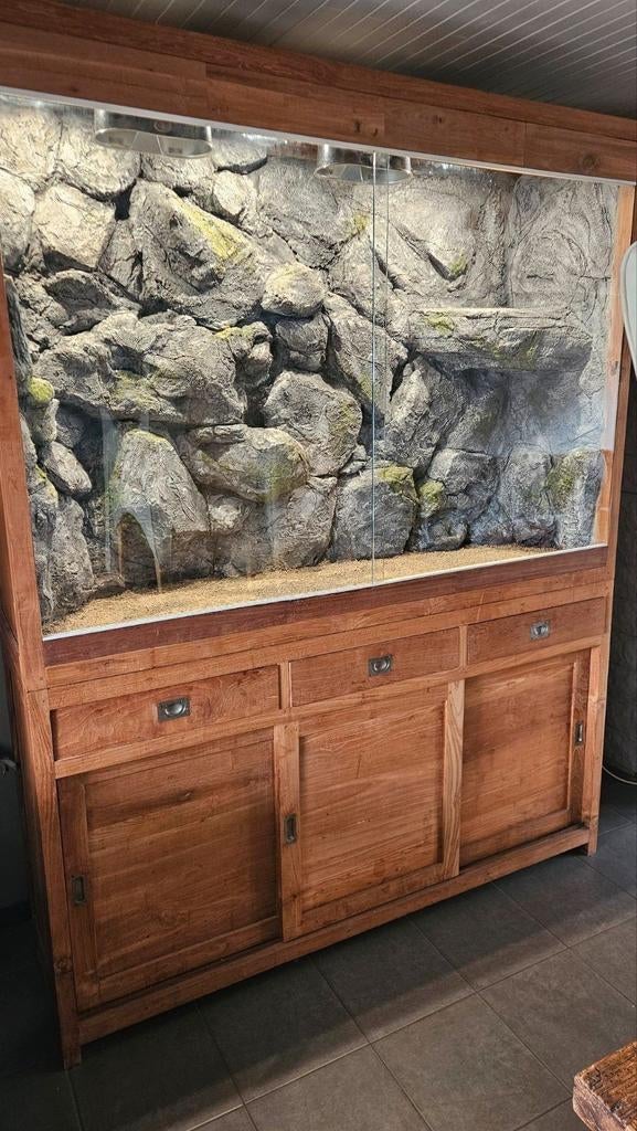 Terrarium, Dieren en Toebehoren, Ophalen