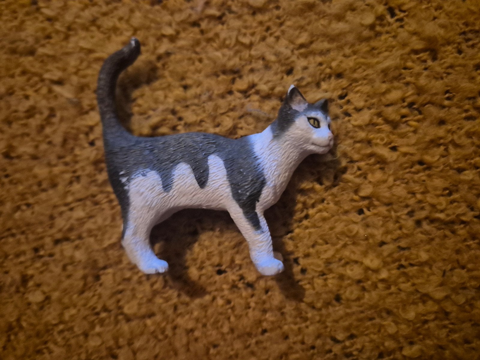 schleich kat, Collections, Envoi