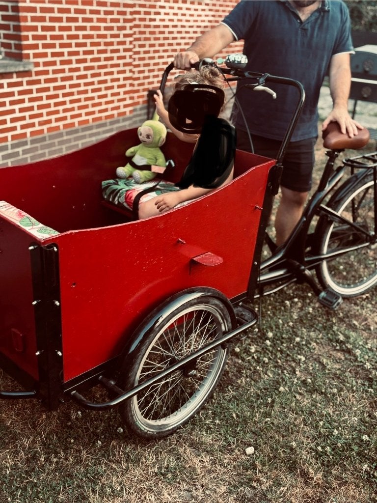 Bakfiets, 4 kinderen of meer, Gebruikt, Schijfrem, Ophalen