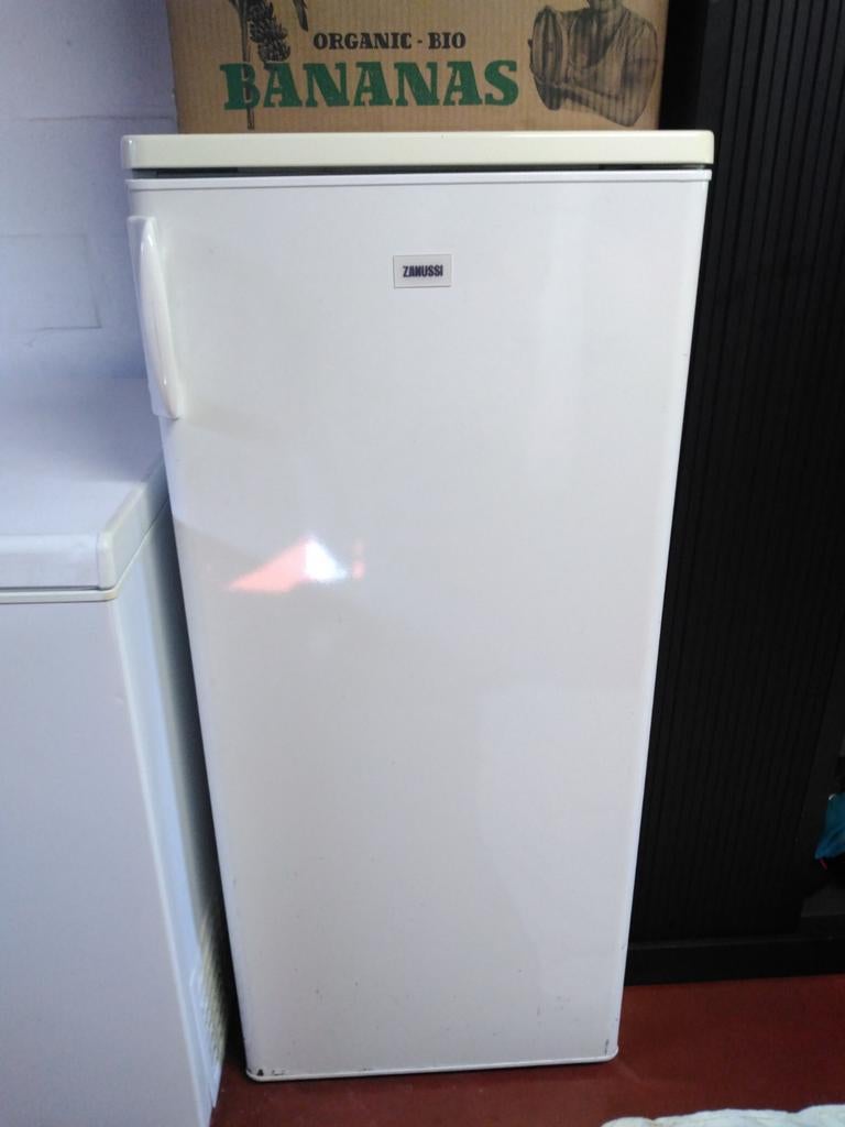 Koelkast Zanussi, Ophalen, 120 tot 140 cm, Energieklasse A of zuiniger, 45 tot 60 cm