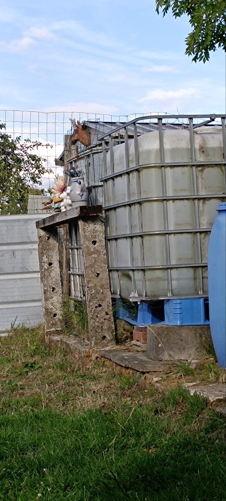 ibc watervaten van 1000 L met blauwe plastic palletten  s, Ophalen