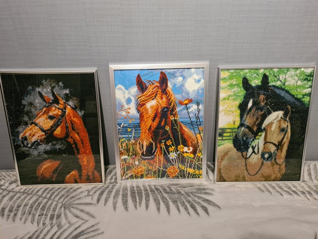 Diamond painting PAARDEN, Enlèvement