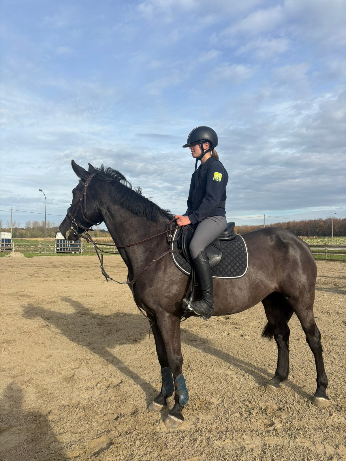 Braven 11jarige merie, Animaux & Accessoires, Avec pedigree, M, Poney E (1.48 m - 1.57m), Jument