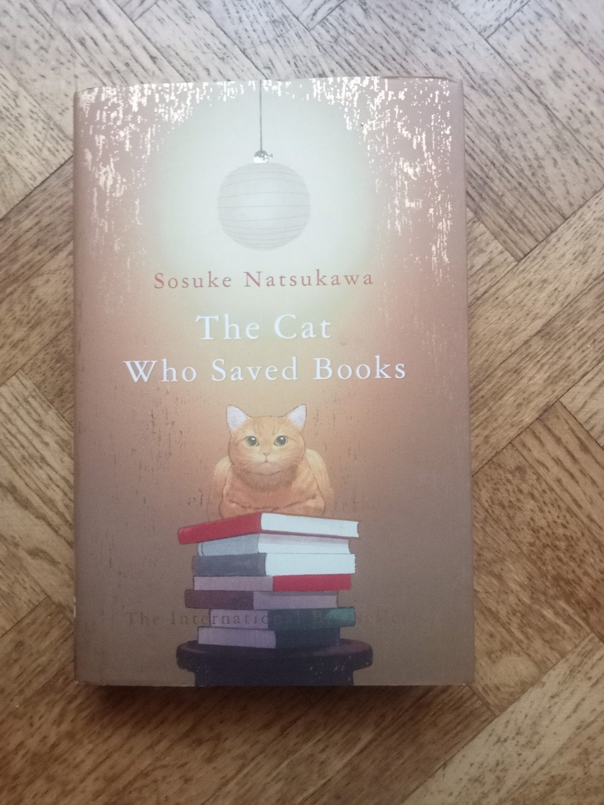 Sosuke Natsukawa: The cat who saved books - Engels -, Boeken, Ophalen of Verzenden, Gelezen