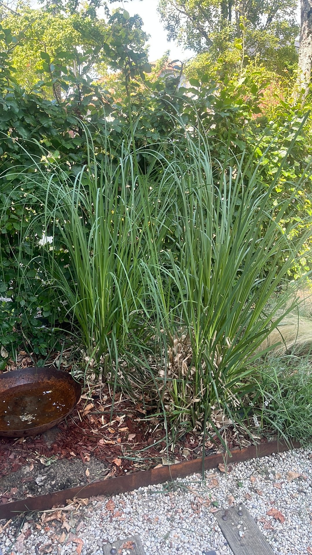 Groen gras, Tuin en Terras, Ophalen