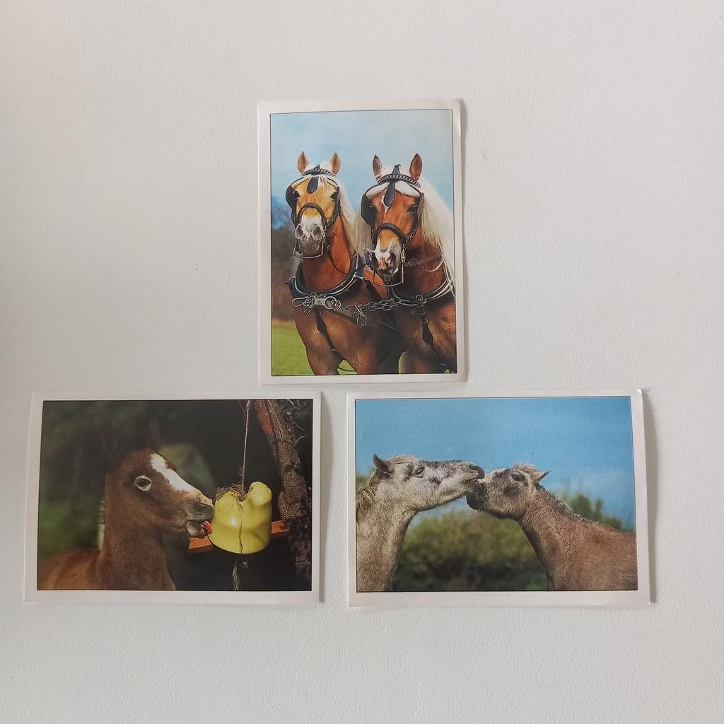 Stickers Panini chevaux et poneys, Enlèvement ou Envoi