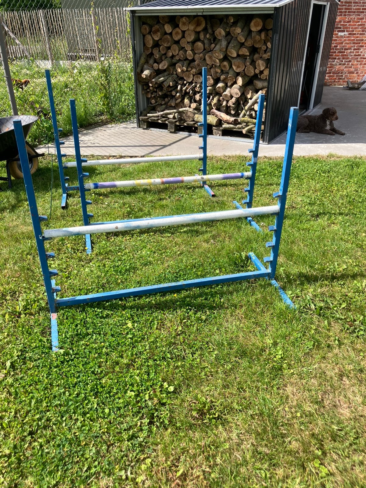 3x agility toestel hond, Dieren en Toebehoren, Ophalen, Gebruikt