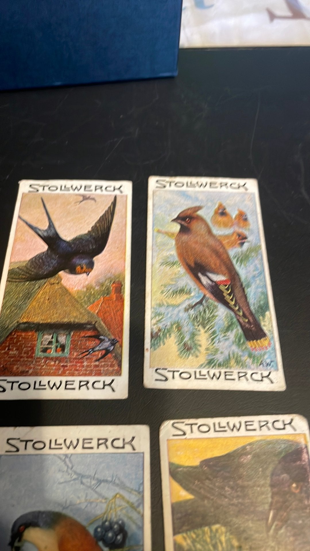 Stollwerck chromo groep19(x3a), Verzamelen, Gebruikt, Ophalen of Verzenden, 1940 tot 1960, Dier