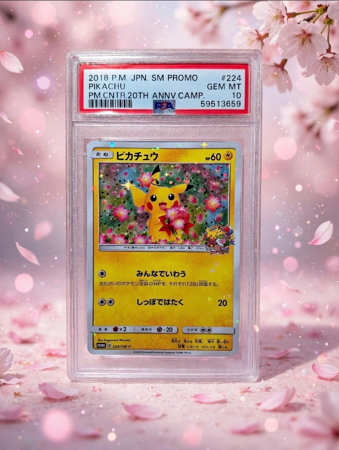 Pokemon pikachu holo #224 Promo japanese PSA 10 gem mint, Hobby & Loisirs créatifs, Enlèvement ou Envoi