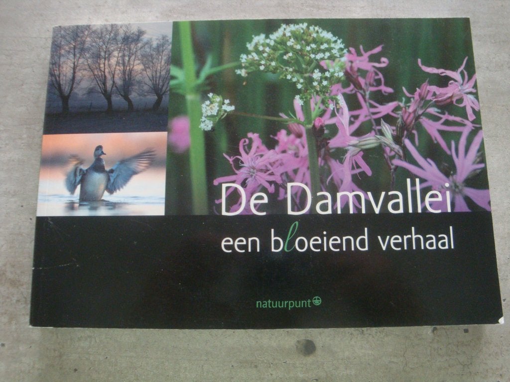 DE DAMVALLEI EEN BOEIEND VERHAAL, Ophalen of Verzenden, Gelezen