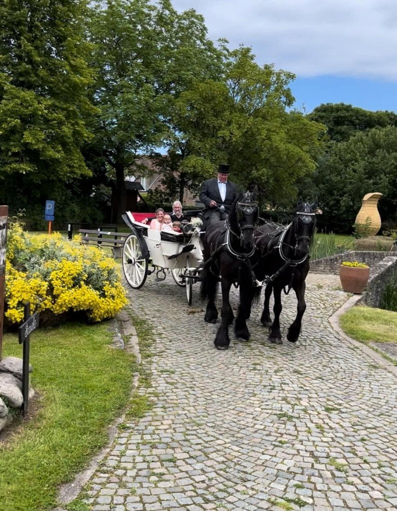 Ceremoniekoets, Gebruikt, Overige typen, Paard