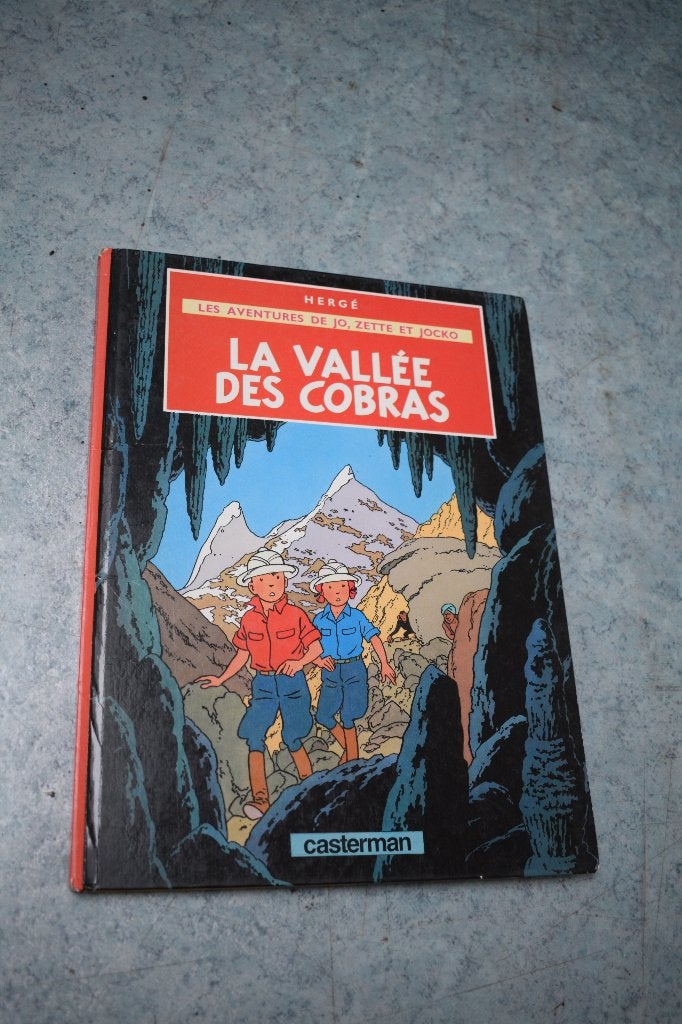 BD La Vallée des cobras 1985 bande dessinée, Livres, Enlèvement ou Envoi, Utilisé