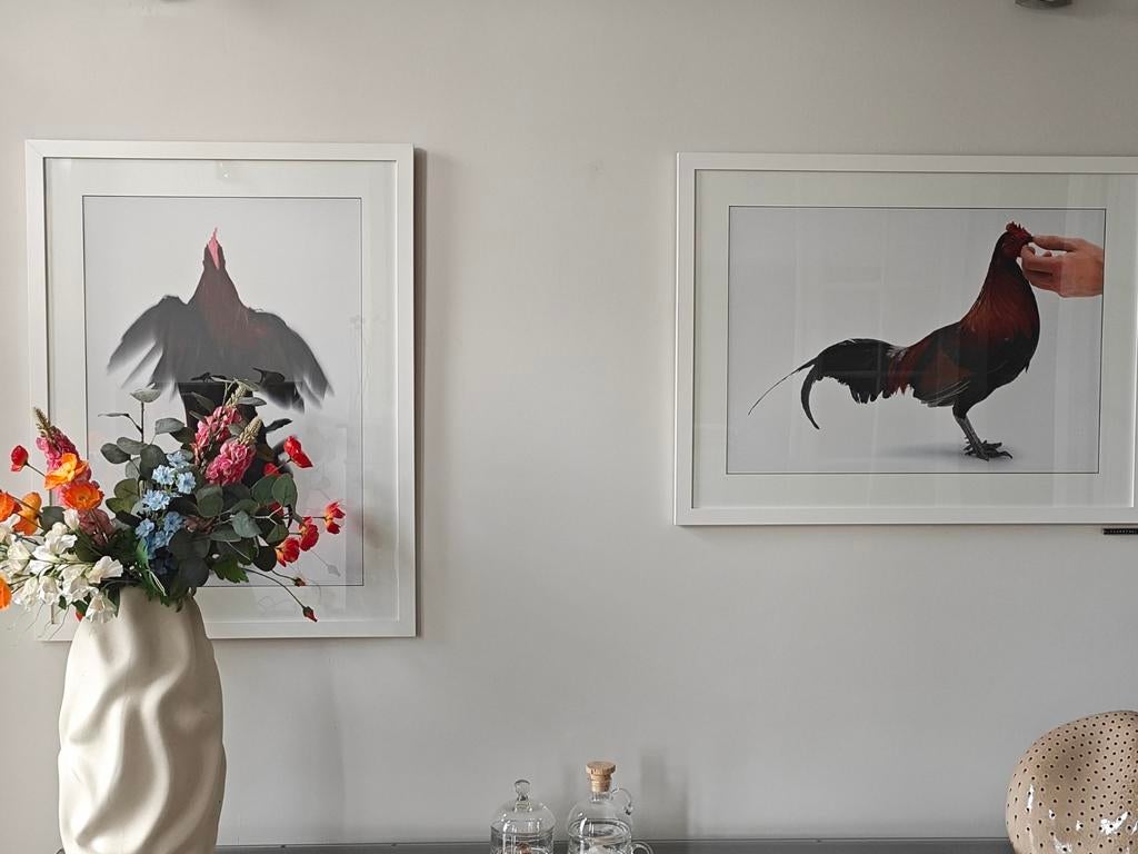 Koen Van Mechelen, Antiek en Kunst, Ophalen
