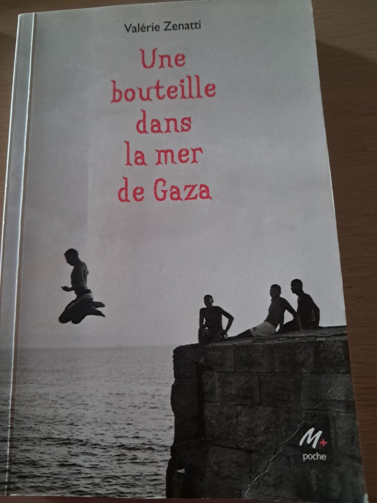 Une bouteille dans la mer de Gaza, Boeken, Ophalen of Verzenden