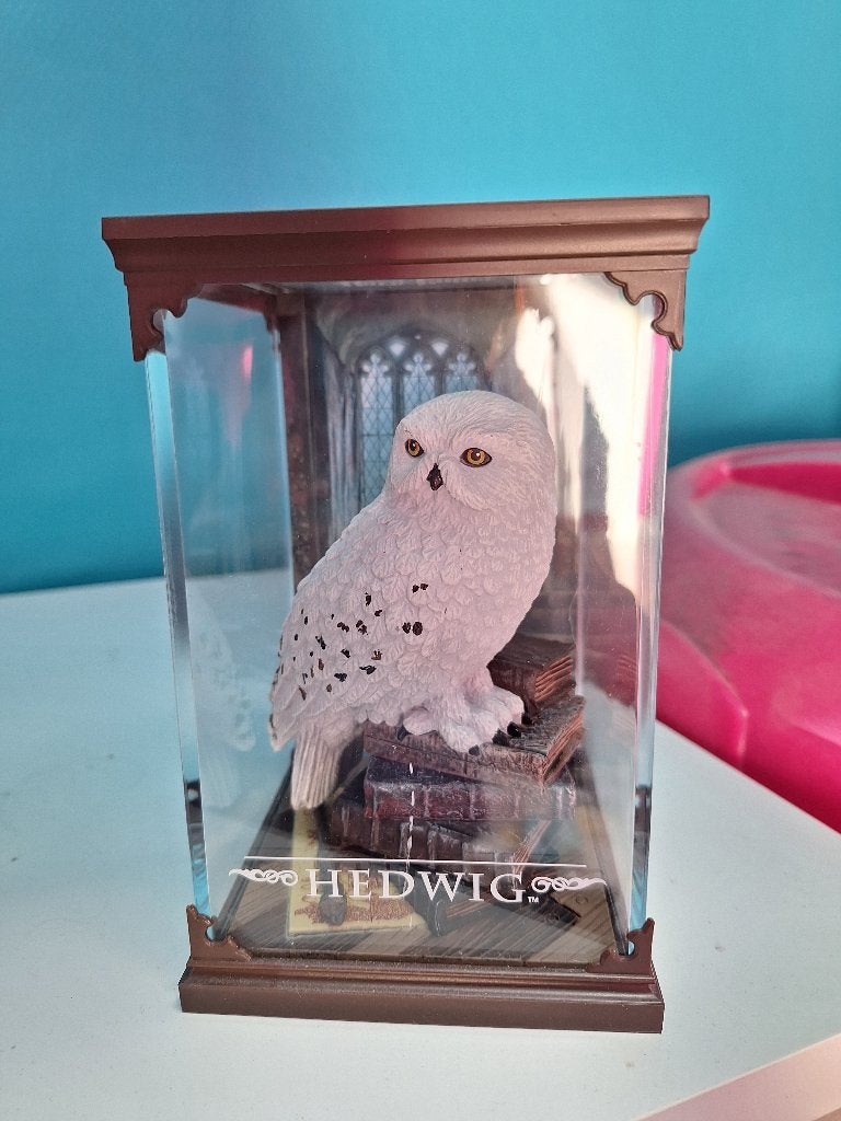 Hedwig collection, Enlèvement, Neuf