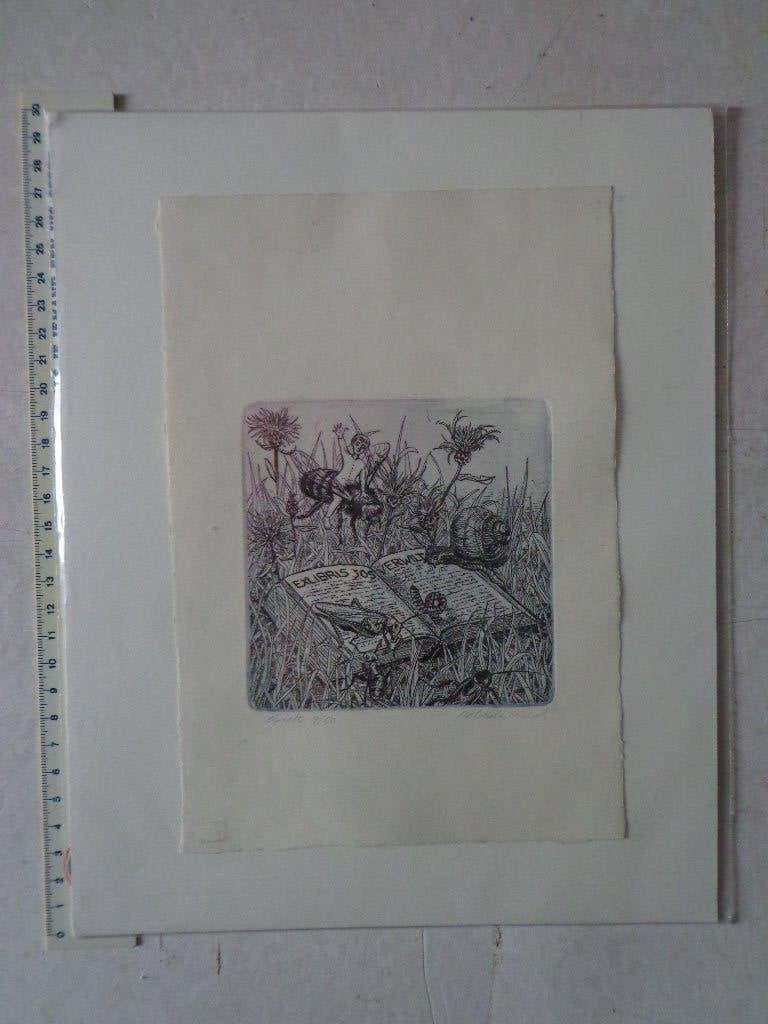 ets van Michel De Beule met ex-libris voor Jos Verwilst, Antiek en Kunst, Kunst | Etsen en Gravures, 2000 tot heden, Ets, Ophalen of Verzenden
