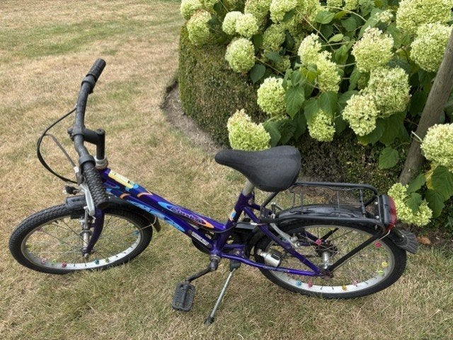 kinderfiets, Fietsen en Brommers, Ophalen