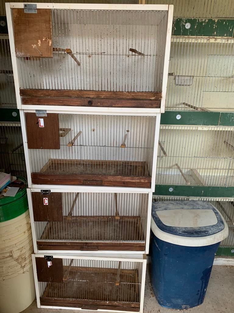 Cage d'élevage pour canaris ou espèces exotiques, Eigen, Eigen, Cage d'élevage, Comme neuf