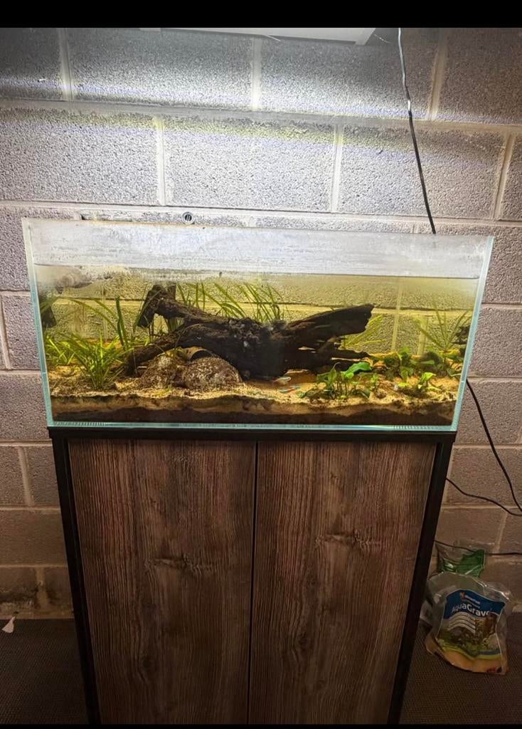 Aquarium shallow de 70l full equipé, Enlèvement, Comme neuf