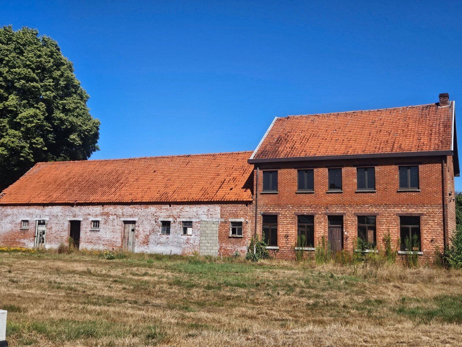 Dakpannen, Ophalen, Gebruikt, 15 m² of meer, Dakpannen