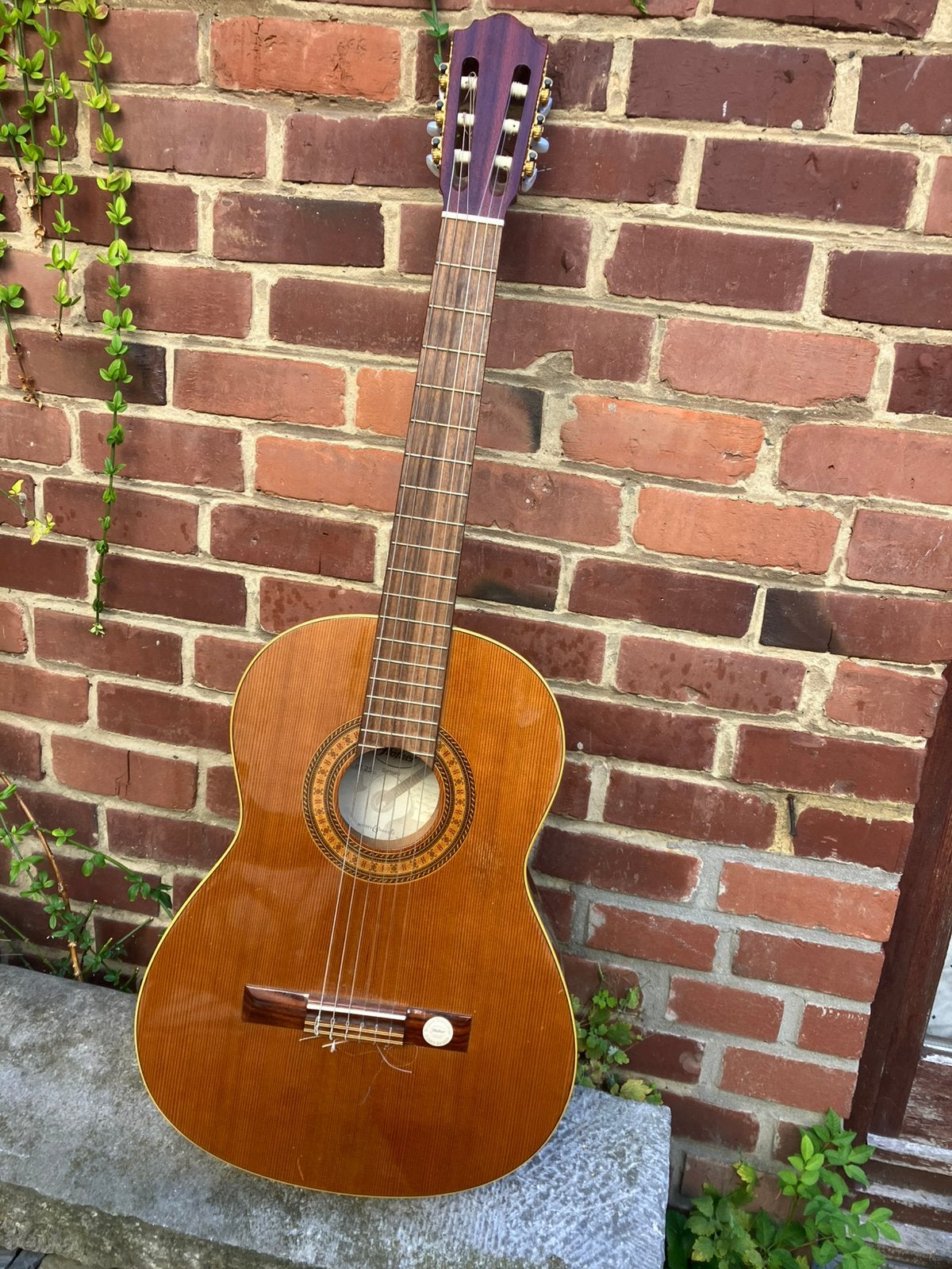 Hofner hz25, Muziek en Instrumenten, Ophalen, Gebruikt, Klassieke of Spaanse gitaar