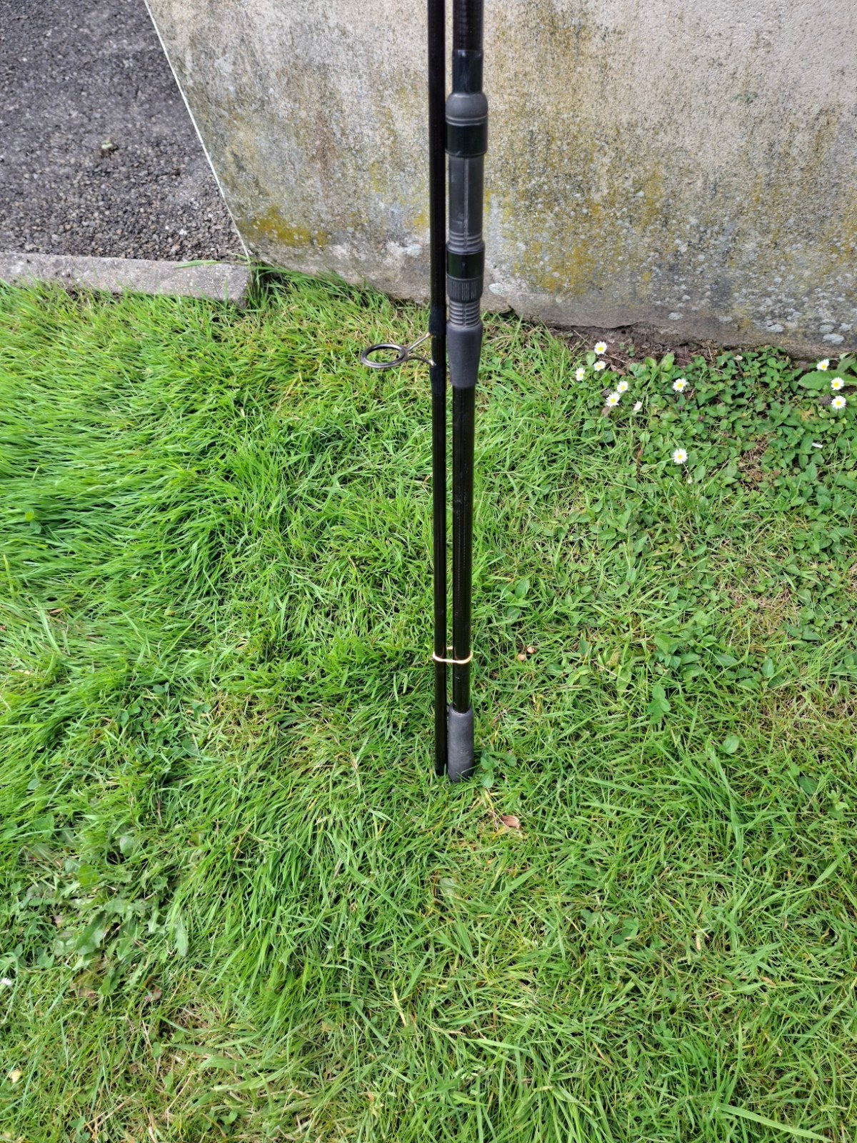 Vend 1 cannes a carpe sportex fbc 12.5ft 3.5lb neuf, Enlèvement