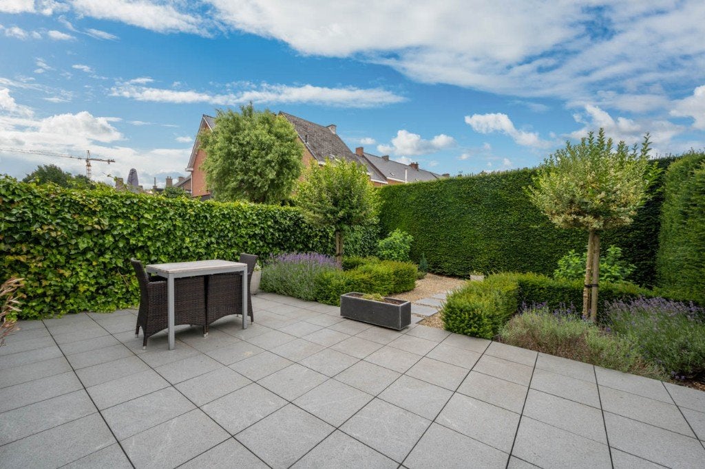 GEZOCHT: tuinman – haag snoeien + klimop verwijderen, Ophalen, Taxus, Haag, 250 cm of meer