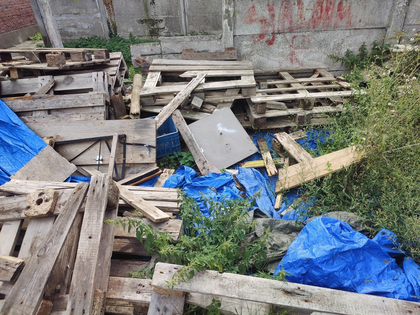 Hout, Tuin en Terras, Brandhout, Ophalen