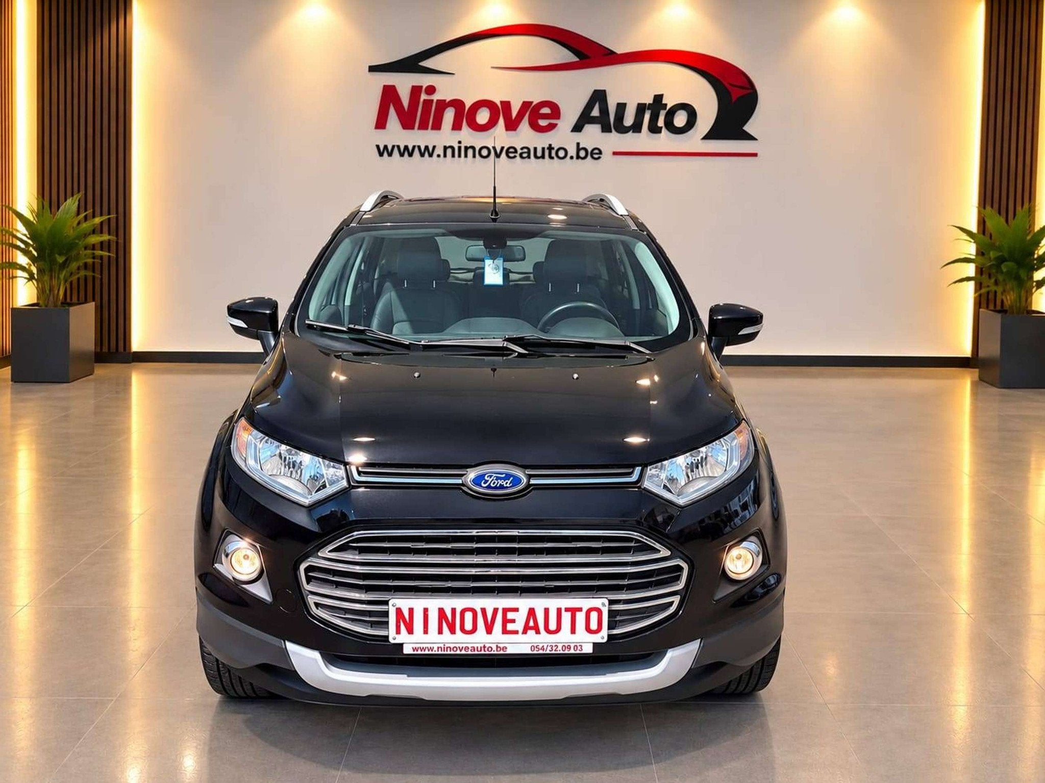Ford EcoSport 1.0 EcoBoost 4x2 Titanium TREKHAAK PARKHULP AC, Euro 5, Achat, 998 cm³, Boîte manuelle