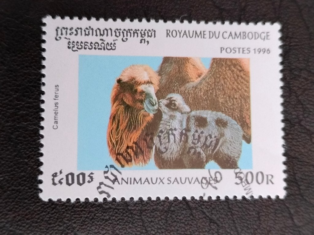 Cambodja 1996 - wilde dieren, wilde kameel, Verzenden, Gestempeld, Zuidoost-Azië