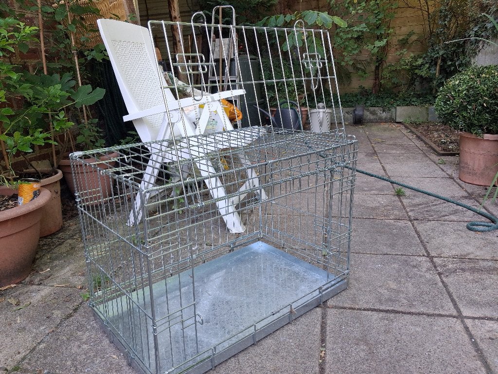 cage pour chien, Enlèvement, Comme neuf